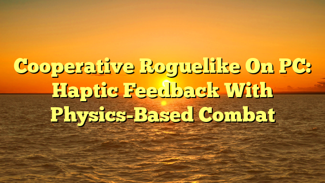 Cooperative Roguelike On PC: Haptic Feedback With Physics-Based Combat