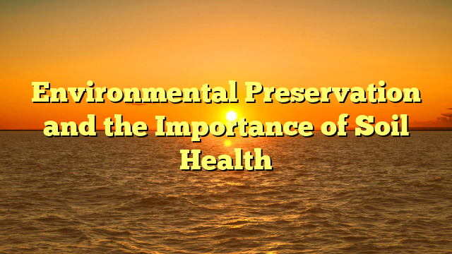 Environmental Preservation and the Importance of Soil Health