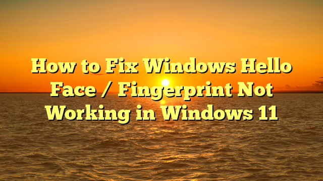 How to Fix Windows Hello Face / Fingerprint Not Working in Windows 11
